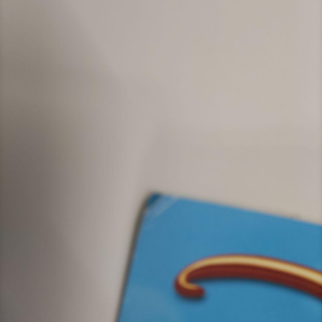 ディズニー　ポスター　B1サイズ