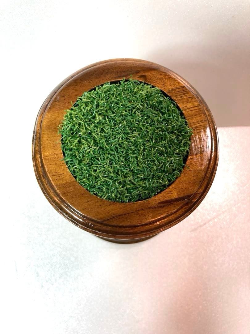 極 小型猛禽パーチ，ファルコンブロックC