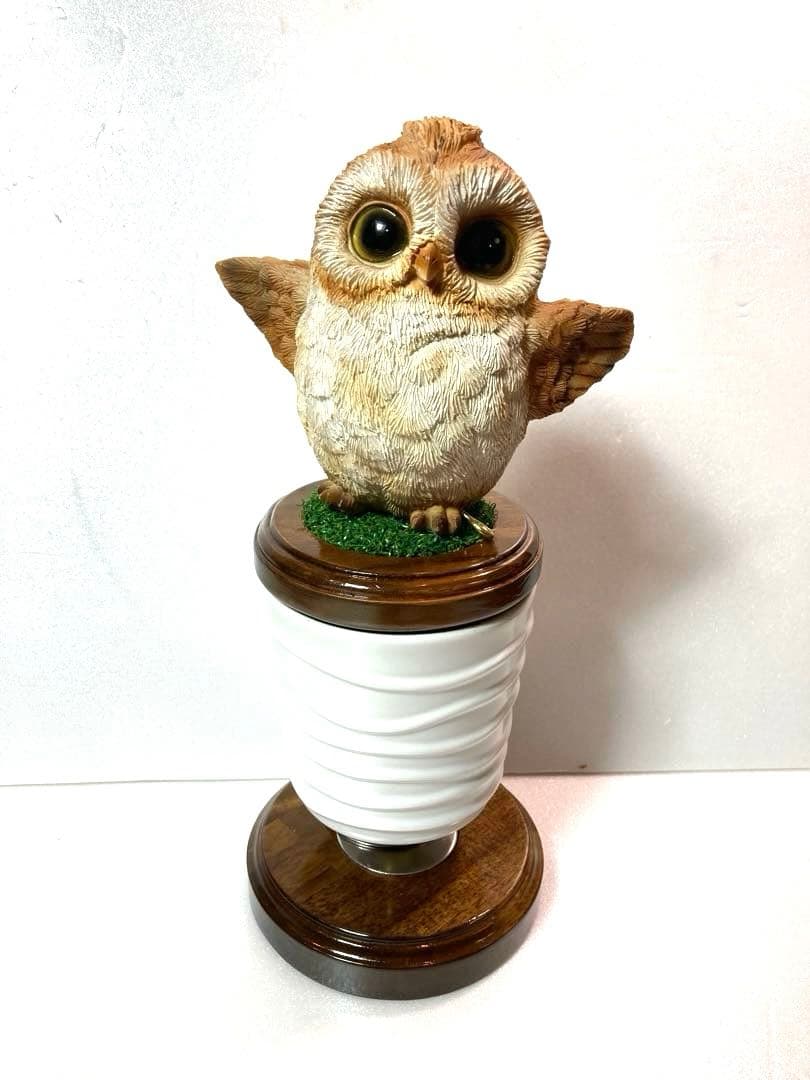 極 小型猛禽パーチ，ファルコンブロックC