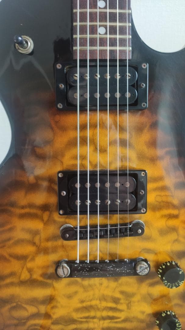 ギター Burny LG-550 BRB