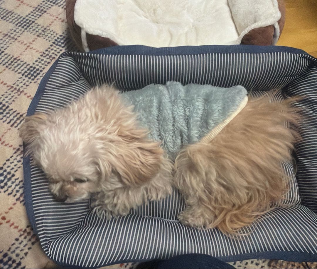 SN☆☆PY様連絡用