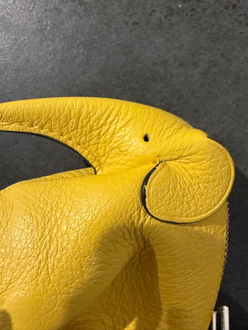 ロエベ　象　ケース