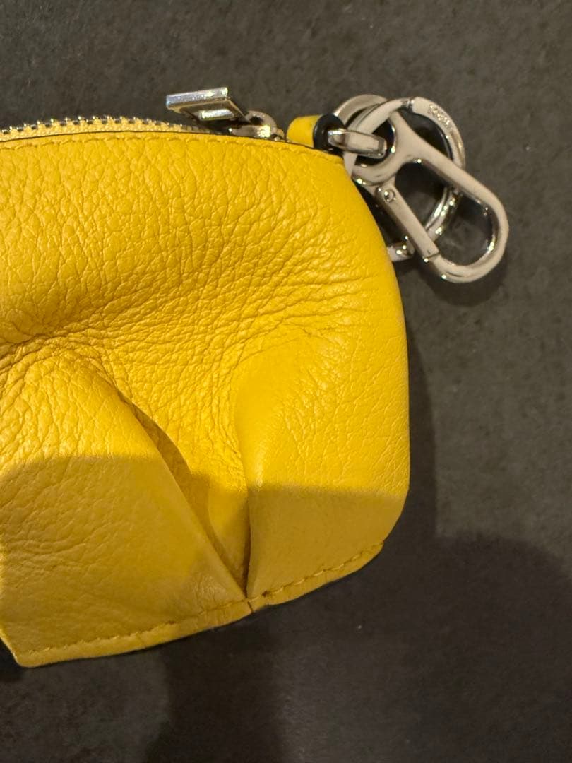 ロエベ　象　ケース