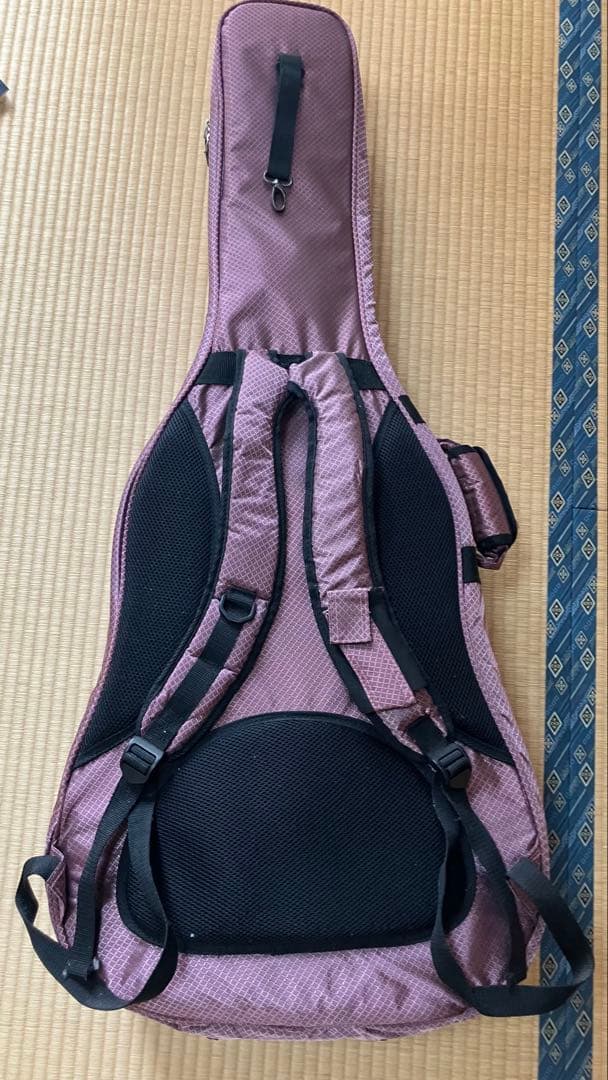 た*ん様 Gretsch electromatic ソフトケース 弦付き