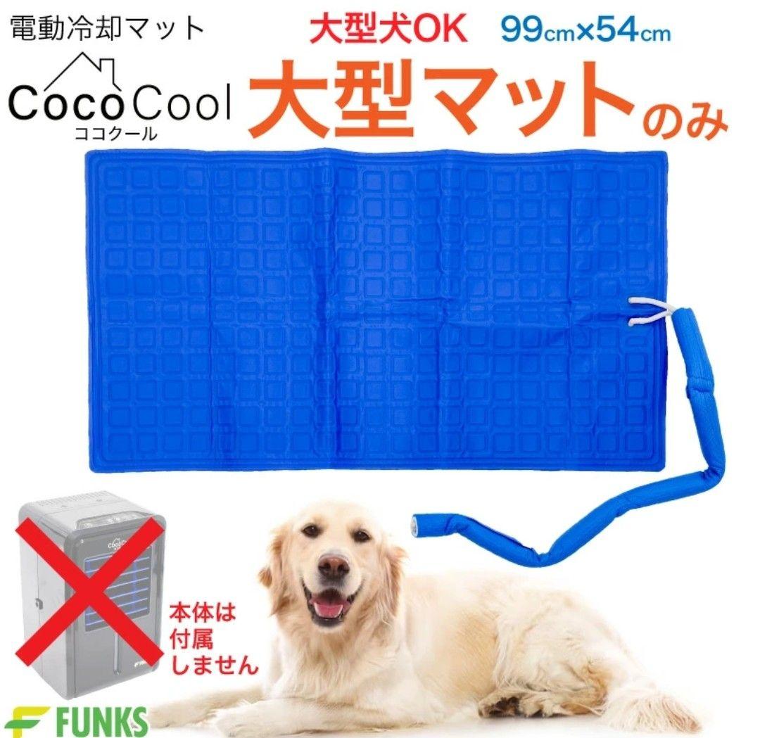 ロブスター標本 伊勢海老 金色フレーム入り 約60cm x 52cm M1