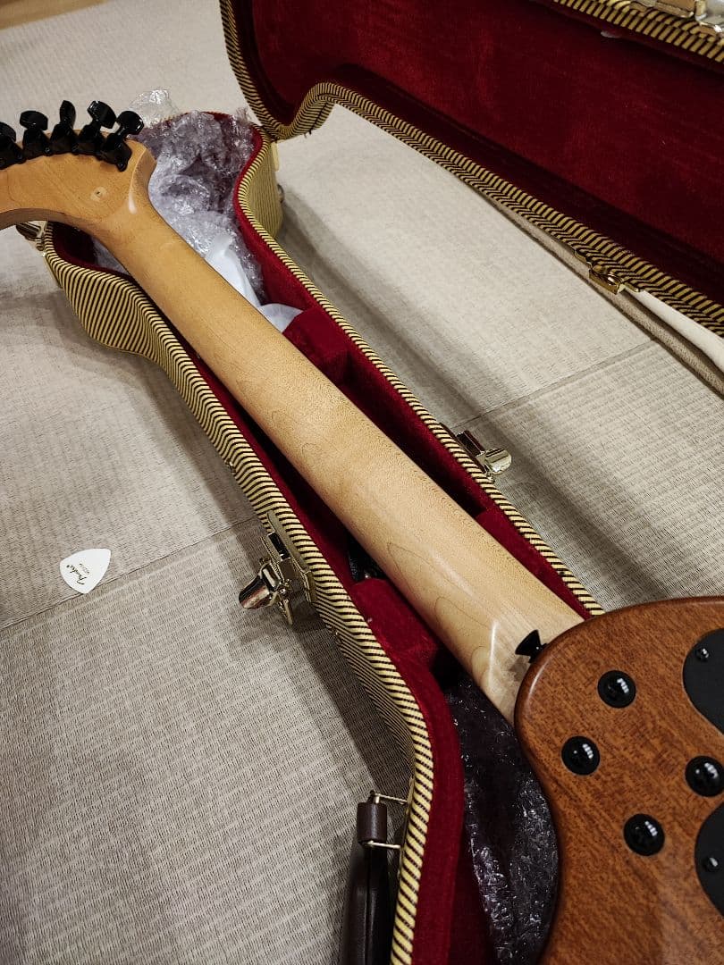 割引 ZO-3A ハードケース付き エレアコタイプ フェルナンデス ZO-3A