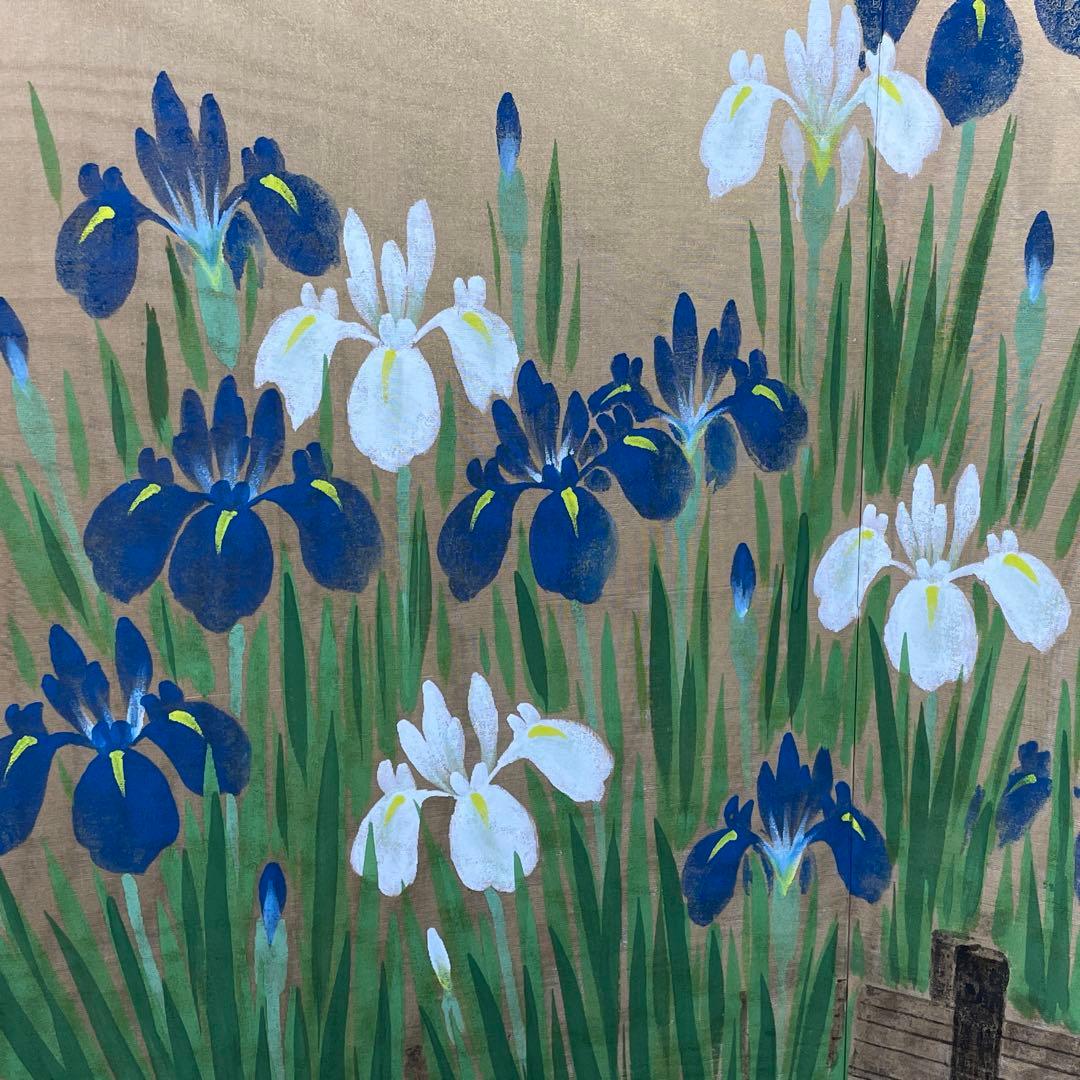 2175 「燕子花図屏風」 清彦