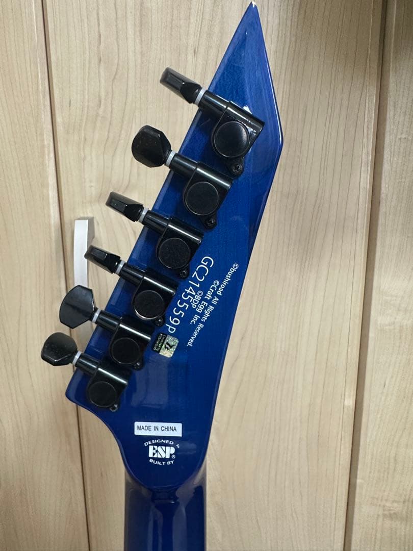 BanG Dream! 氷川紗夜モデルM-II SAYO