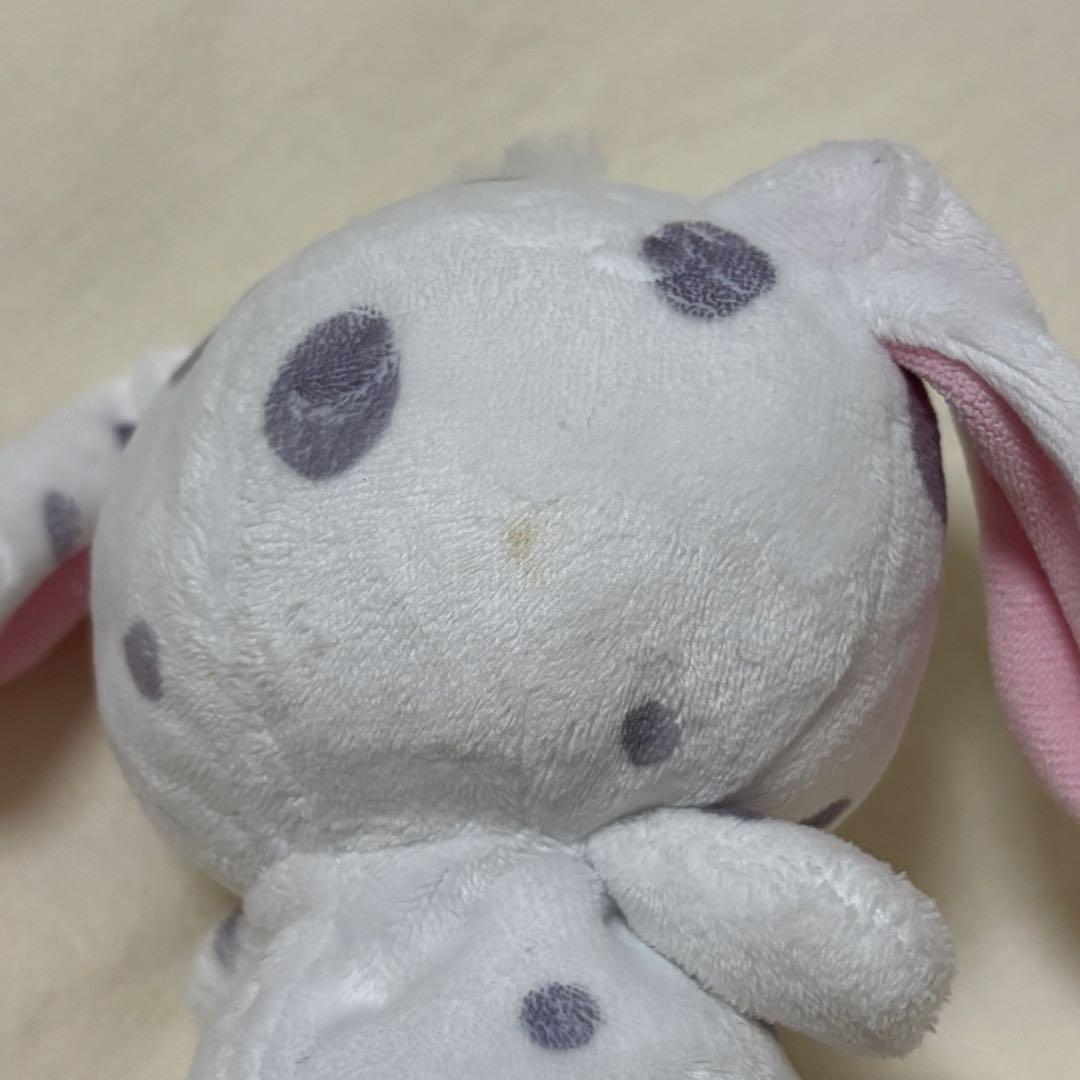 シュガーバニーズ　ぶちうさ