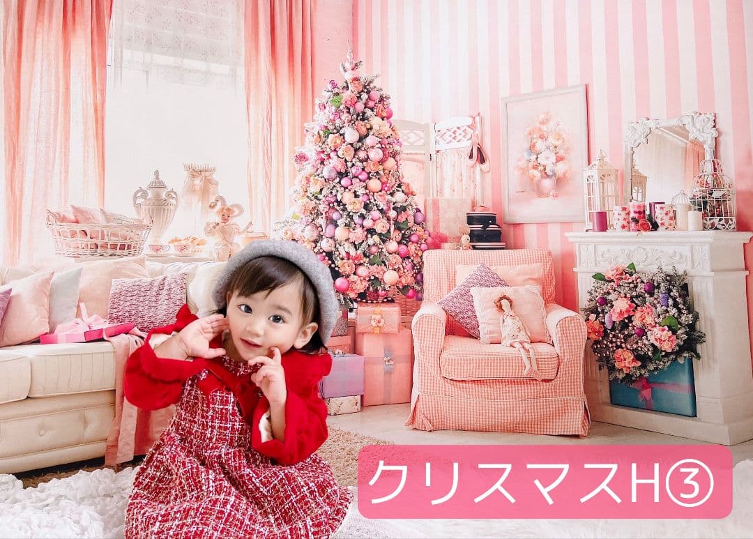 紅葉 背景布秋D③ ペット撮影用フォトブース トリミングリボン