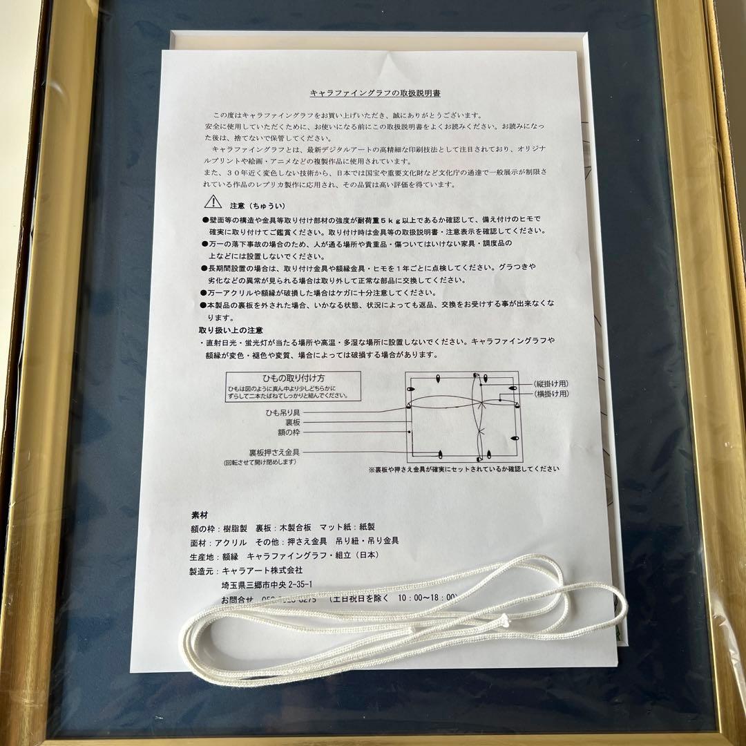 ダイの大冒険 キャラファイングラフ 額装複製原画 ダイの大冒険 キャラ