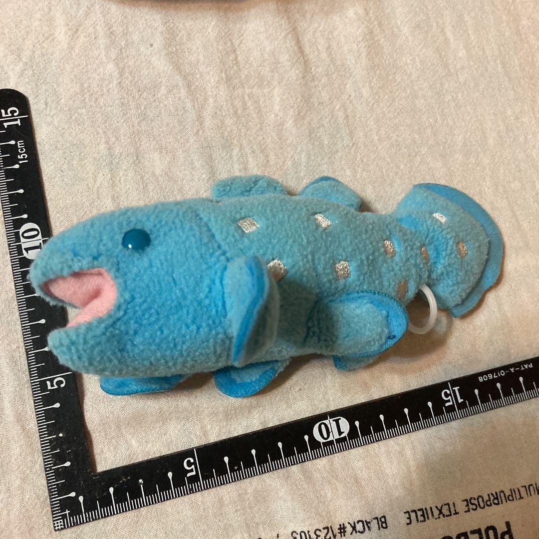 ぷるるんマリン シーラカンス ヒモ引っ張りブルブル 綺麗目