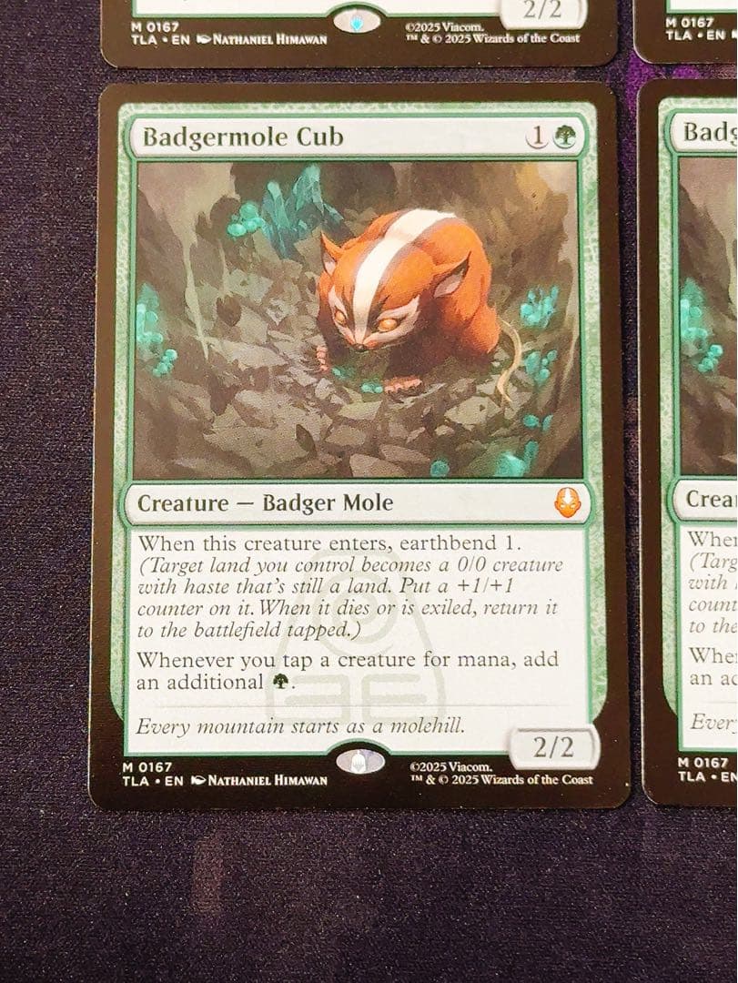 アナグマモグラの仔　英語　4枚セット