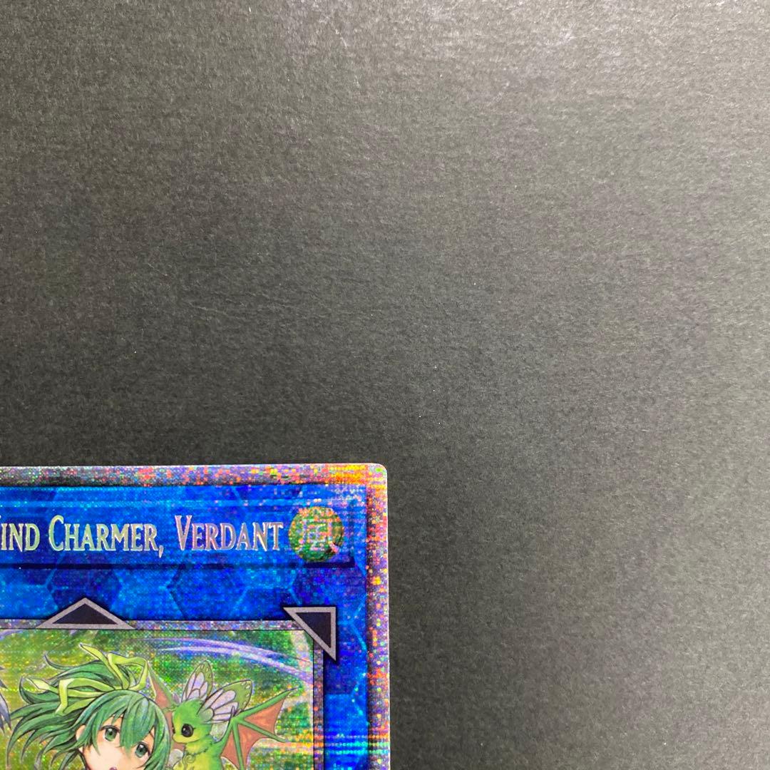 遊戯王　蒼翠の風霊使いウィン　スターライト　1st 英語　RIRA-EN046