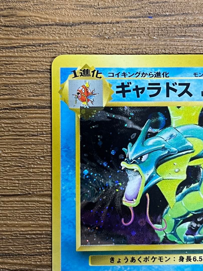 ギャラドス　旧裏　 ★ 第1弾拡張パック