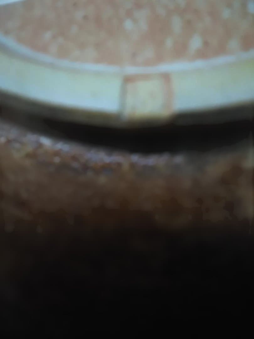 荒田浩二の陶芸