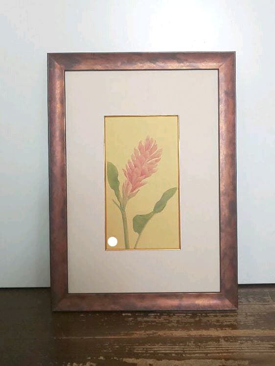 絵画 額付き ヒメバショウ 絹本 花鳥画