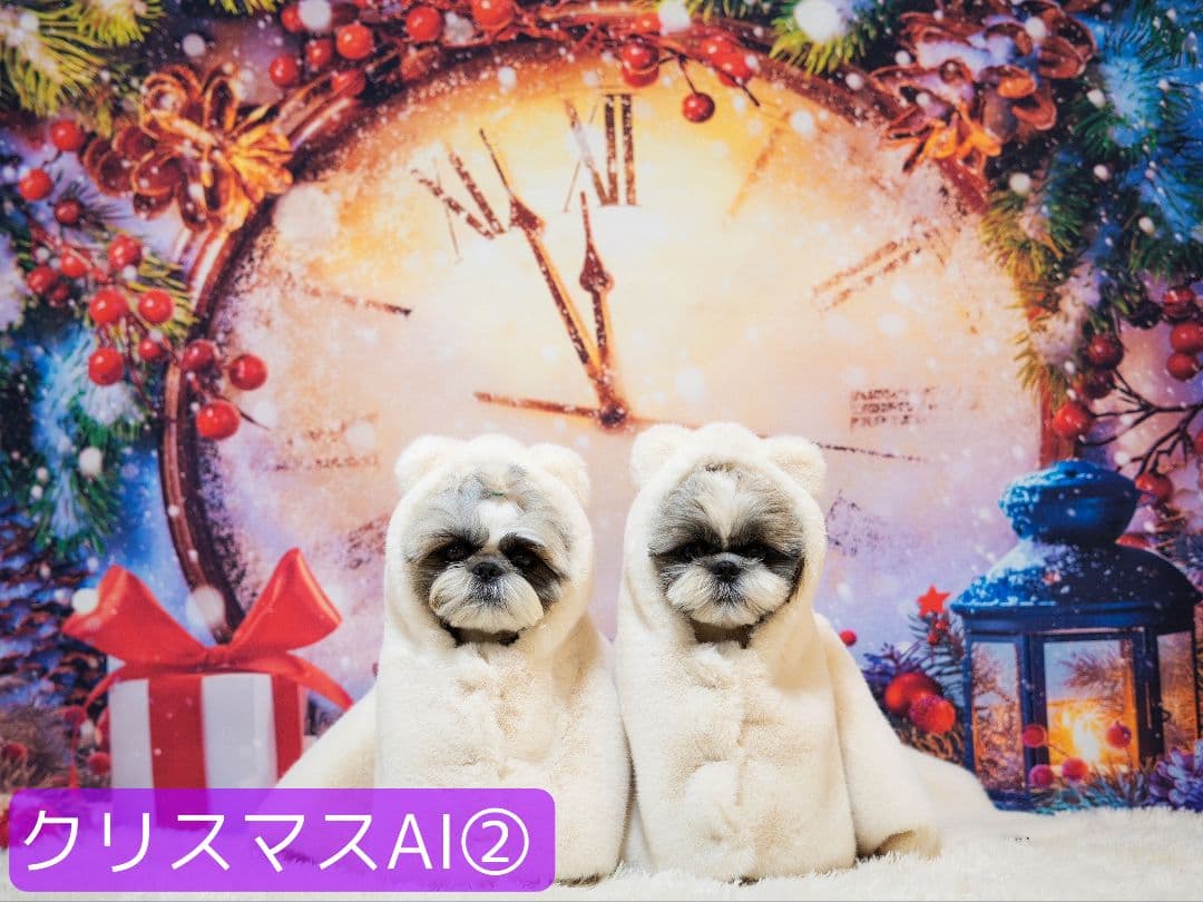 背景布【お正月F】サンプル 年賀状、ペット、子供撮影用 梅 和柄 門松