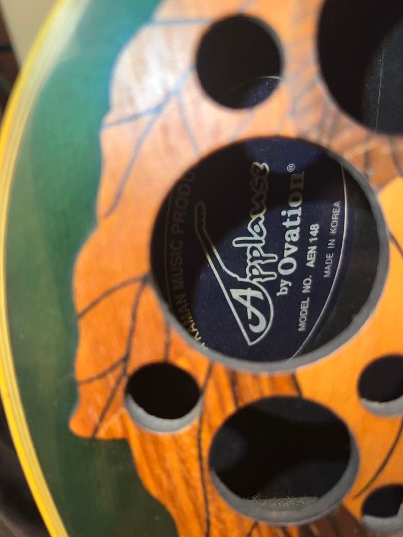 Applause グリーン アコースティックギター