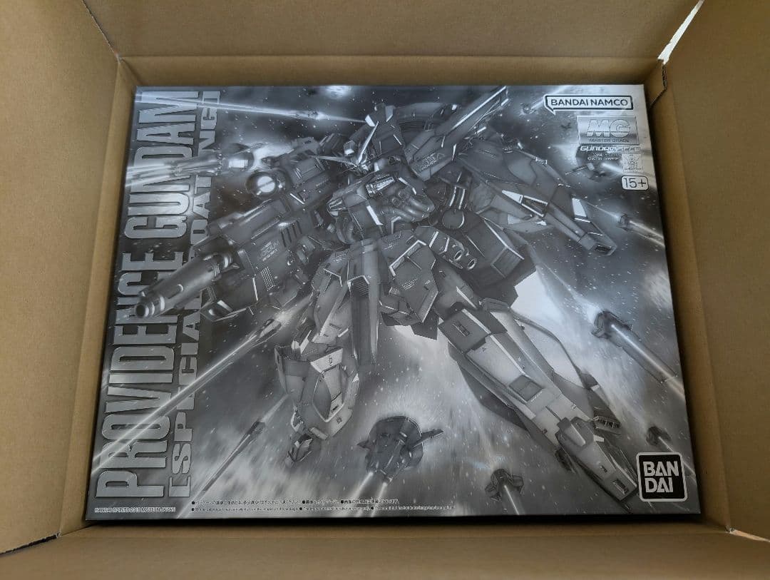 ＭＧ 1/100 プロヴィデンスガンダム [スペシャルコーティング] 新品未開封
