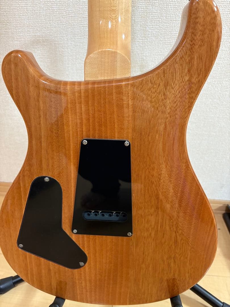 【たいちゃんママ】PRS SE Custom24Trampas Green