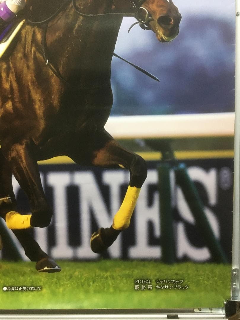 天皇賞（春） 2017年 競馬ポスター キタサンブラック B1｜