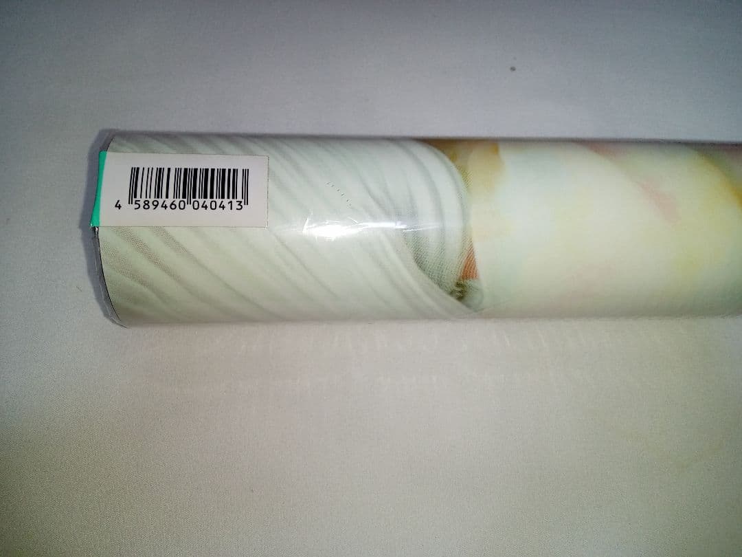 【新品・未開封】RION 壁掛け 2018年カレンダー 安齋らら 宇都宮しおん