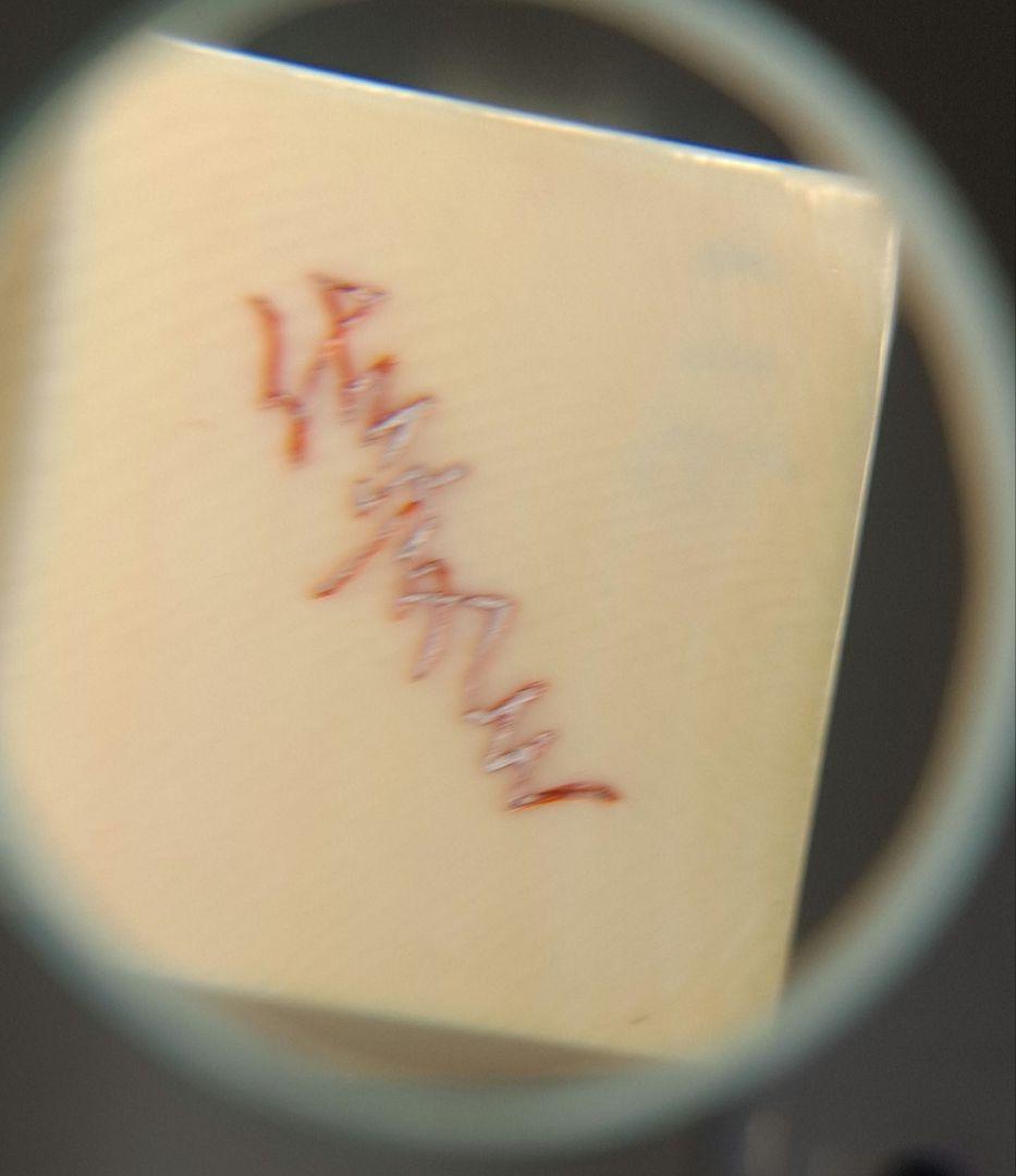 sak0403専用 三味線 天然素材の高級バチ マンモス 牙 中古品 - メルカリ