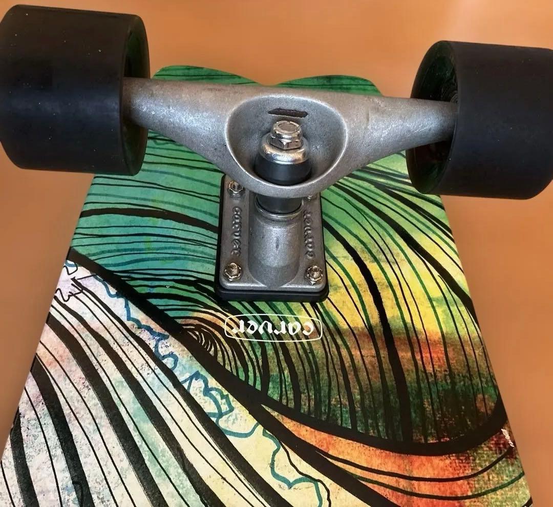 Carver スケートボード 29.0inch CX4 SWALLOW