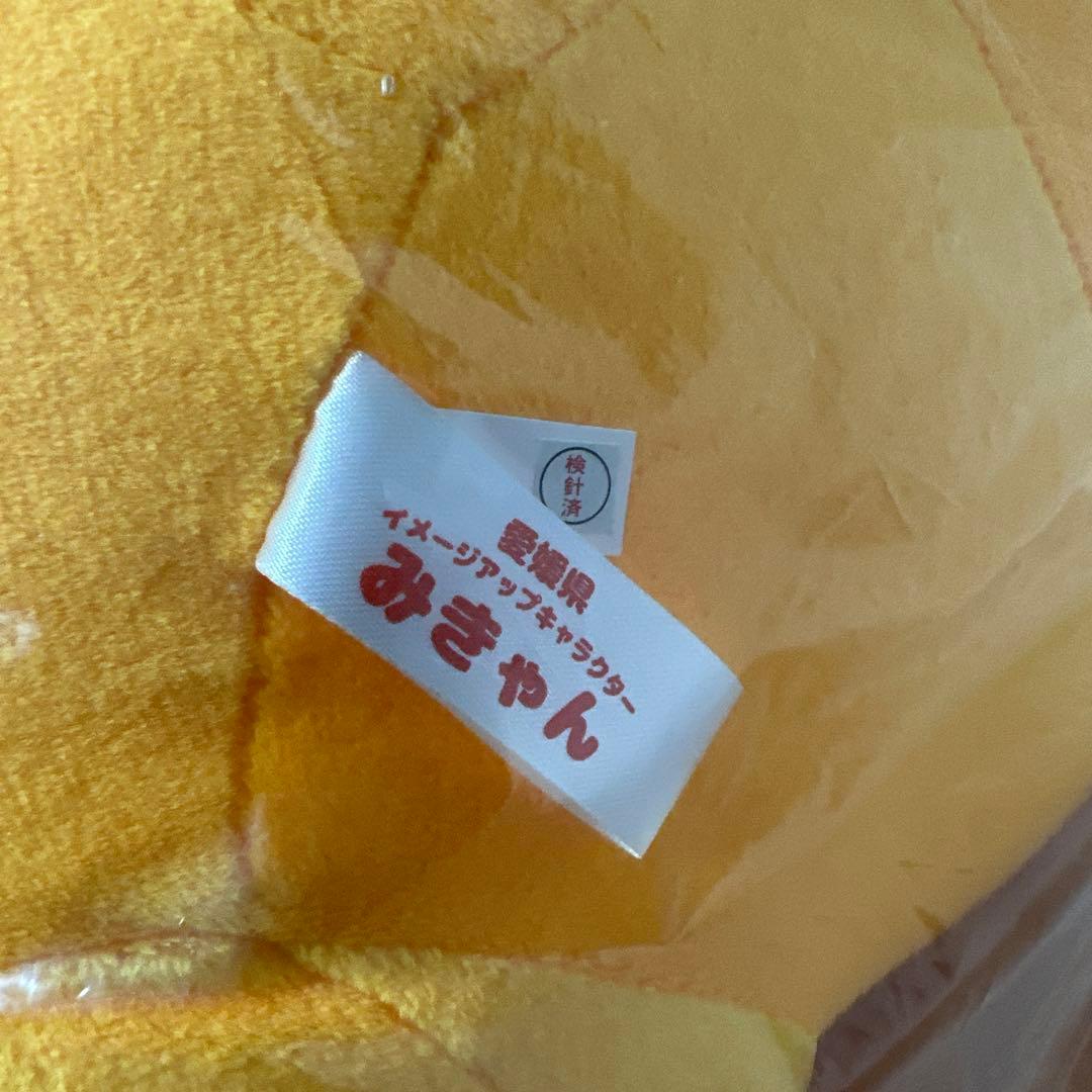 みきゃん　特大ぬいぐるみ　クリアファイル