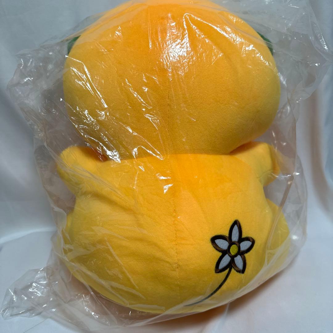 みきゃん　特大ぬいぐるみ　クリアファイル