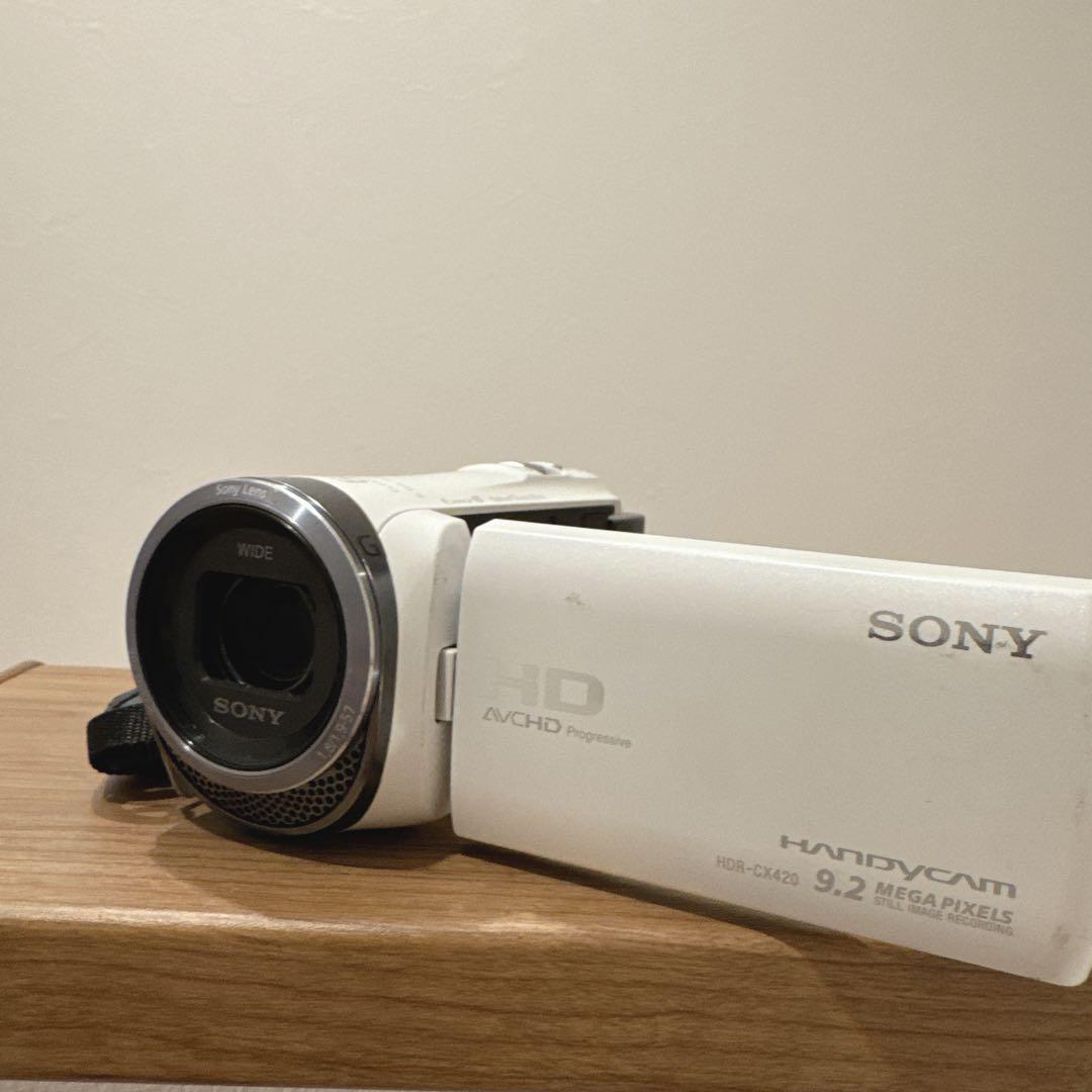 豪華セット】SONY DCR-TRV30 MiniDV対応 豪華セット】SONY DCR-TRV30