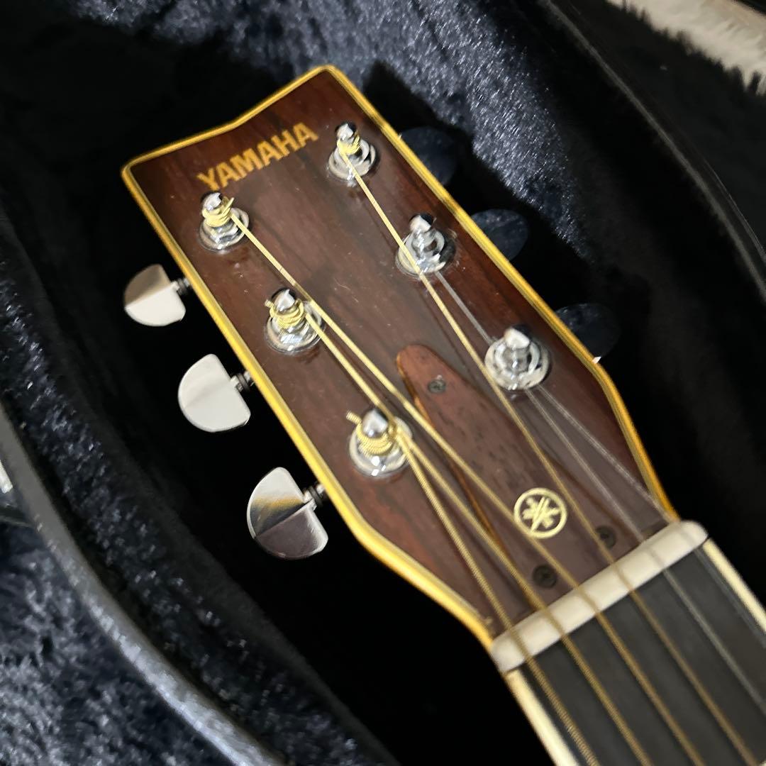 在庫 処分 セールホビー・楽器・アート - YAMAHA L-5 前期モデル