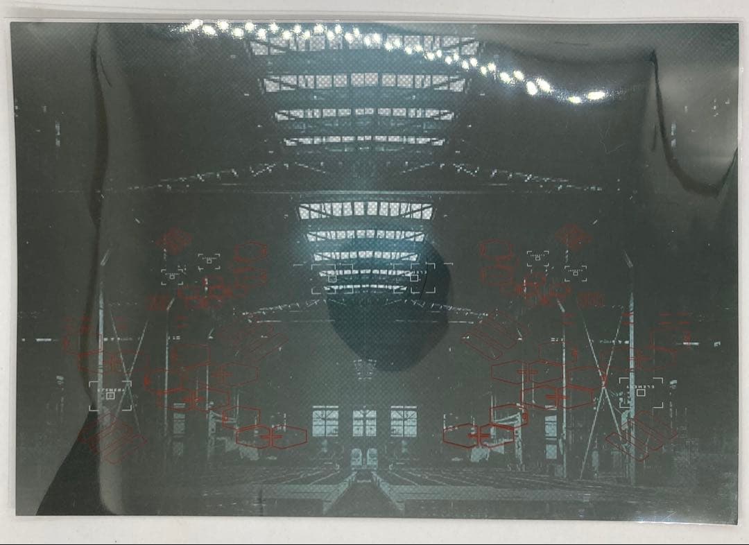 大火鳥玩具 初回限定 KALAVINKA カラヴィンカ　霞之鳥