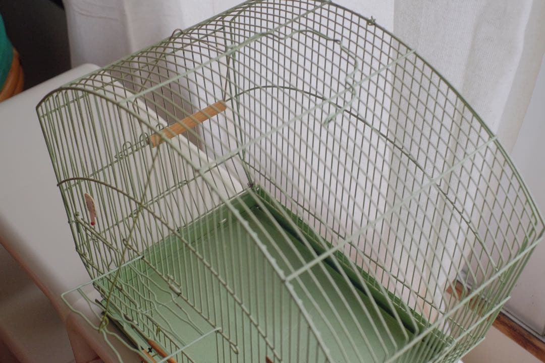 アンティーク 鳥かご バードケージ kinsen ビンテージ 文鳥 小鳥 琴線