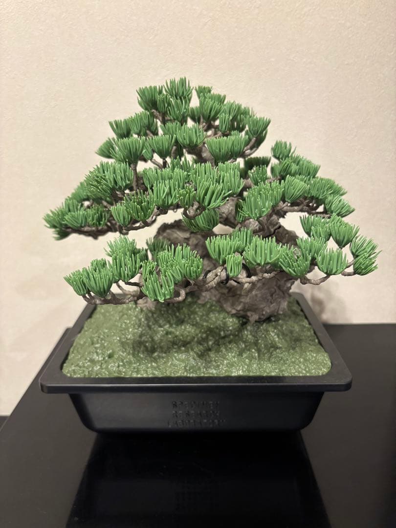 美品完成品 組み立て済NEIGHBORHOOD Bonsai ModelKit
