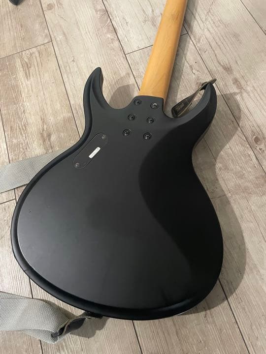 ギター Schecter Diamond series Danien Devil