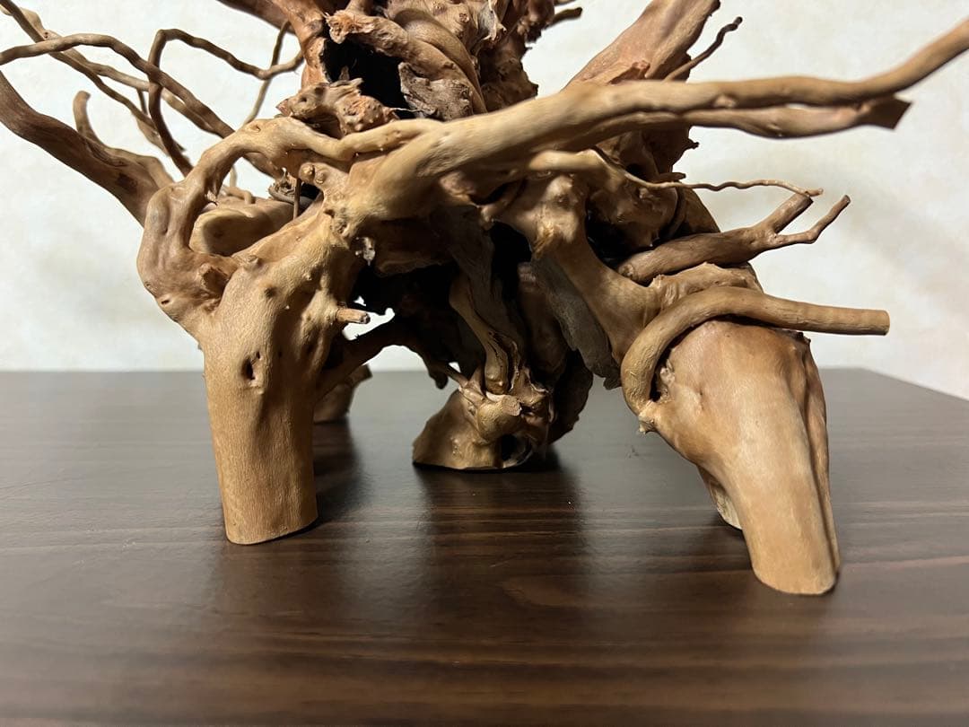 11206 ブランチウッド 流木 アクアリウム 沈水確認済