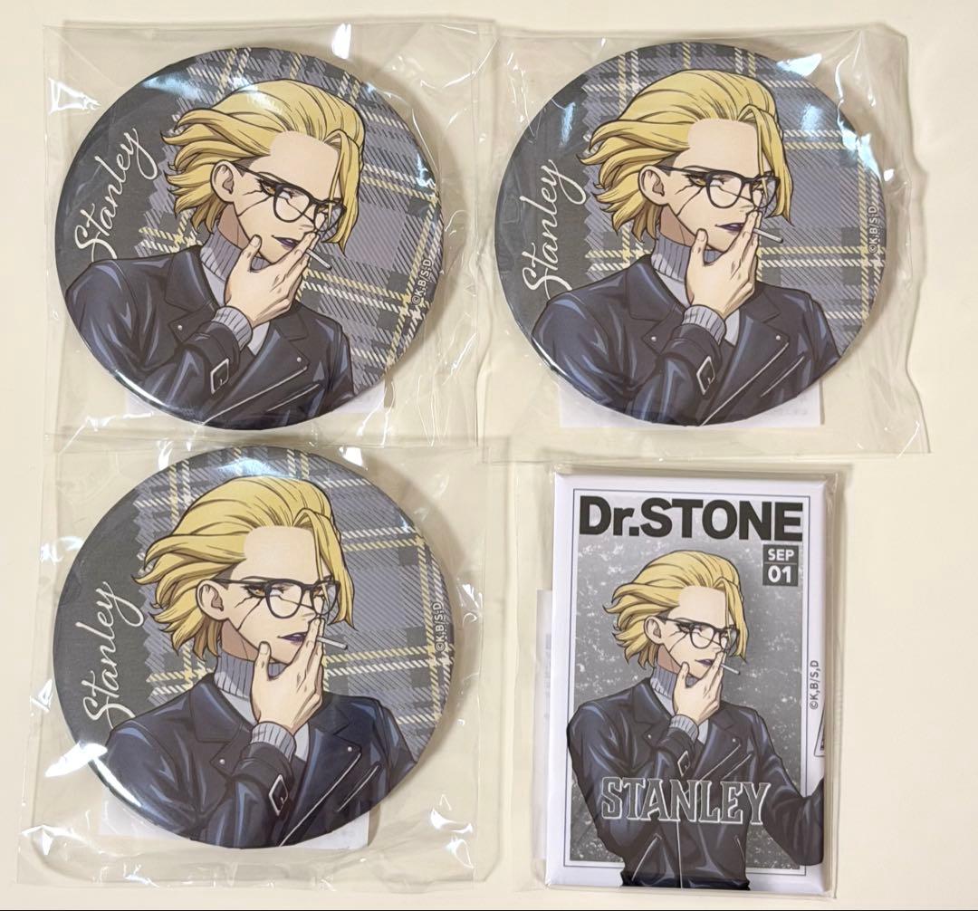 Dr.STONE くじ 読書の秋 缶バッジ 丸形 長方形 スタンリースナイダー