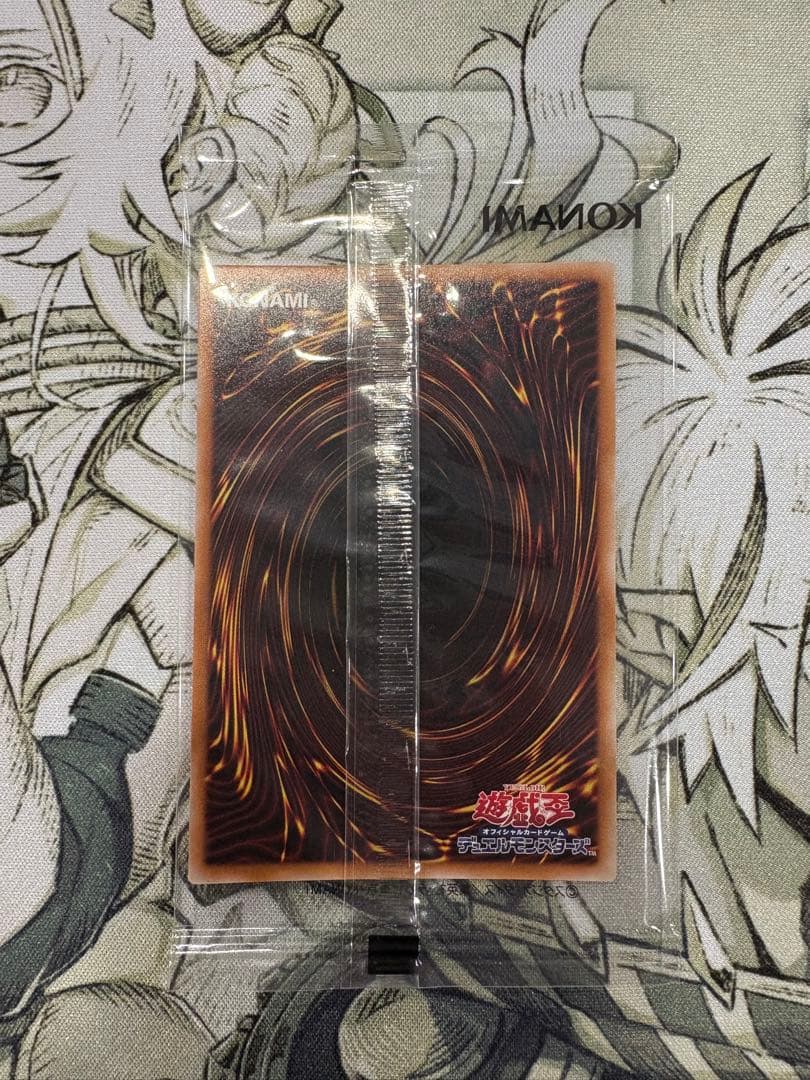 異次元の女戦士