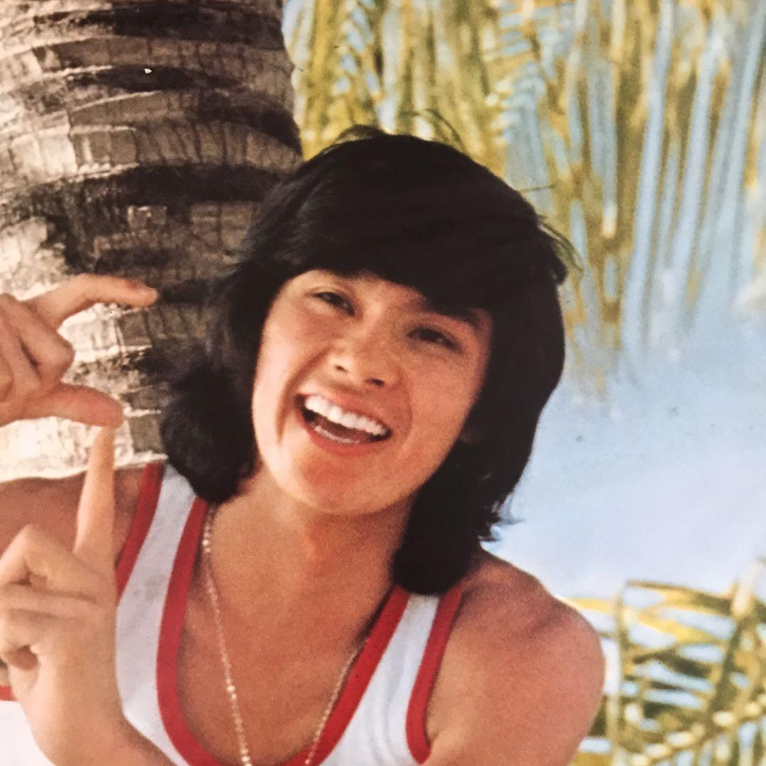 昭和レトロ　西城秀樹さん　木製パネル