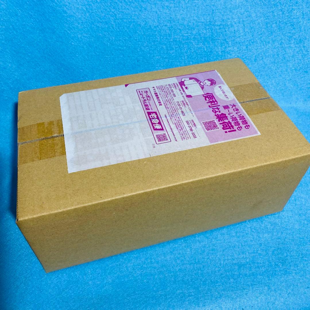 【完全未開封】 ポケモンセンターフクオカ スペシャルBOX 当選品 納品書入り