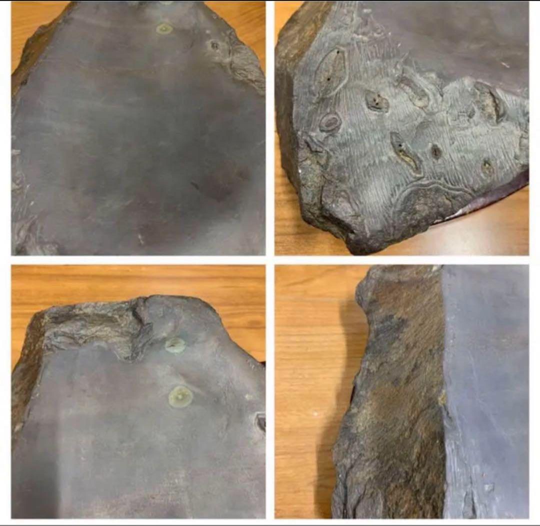 中国・書道具/名石 清時代文房四宝端渓硯/魚脳凍・天青色、赤