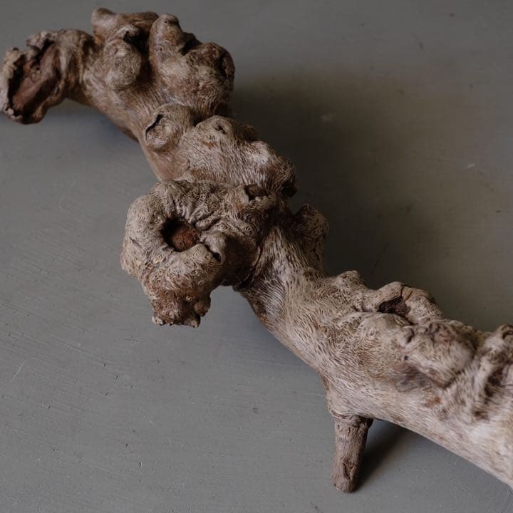 瘤杢 ワニのオブジェ 流木 古材 木製 置物 アート 芸術 アンティーク