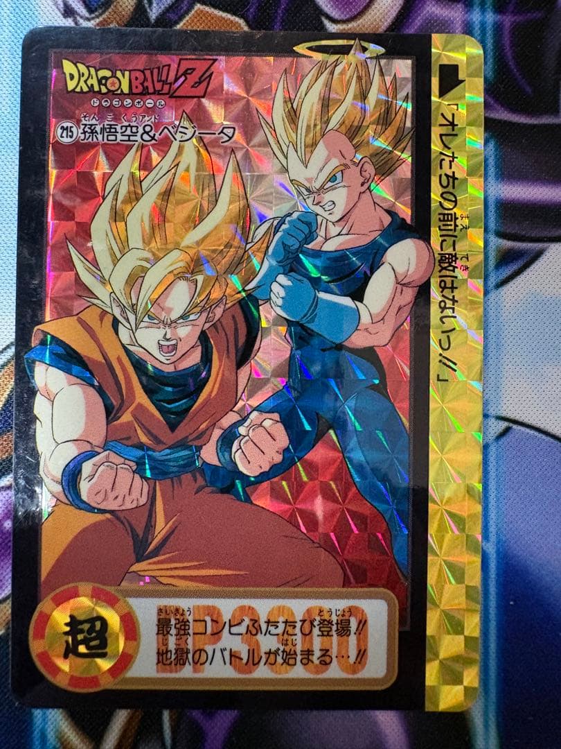 ドラゴンボールZ カードダス 215 孫悟空&ベジータ No.861 - メルカリ