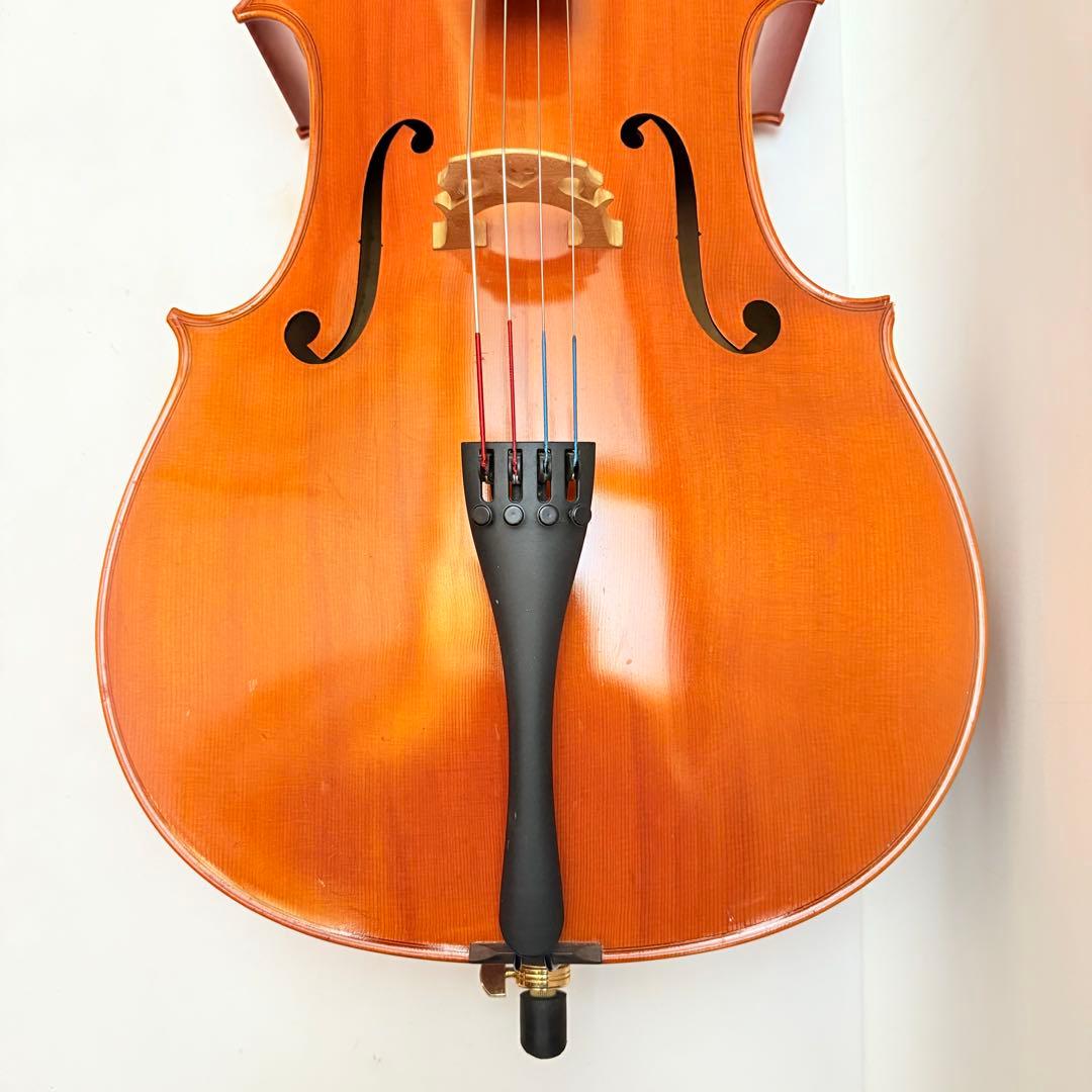 【希少】Pygmalius Derius dc-180ピグマリウス チェロ