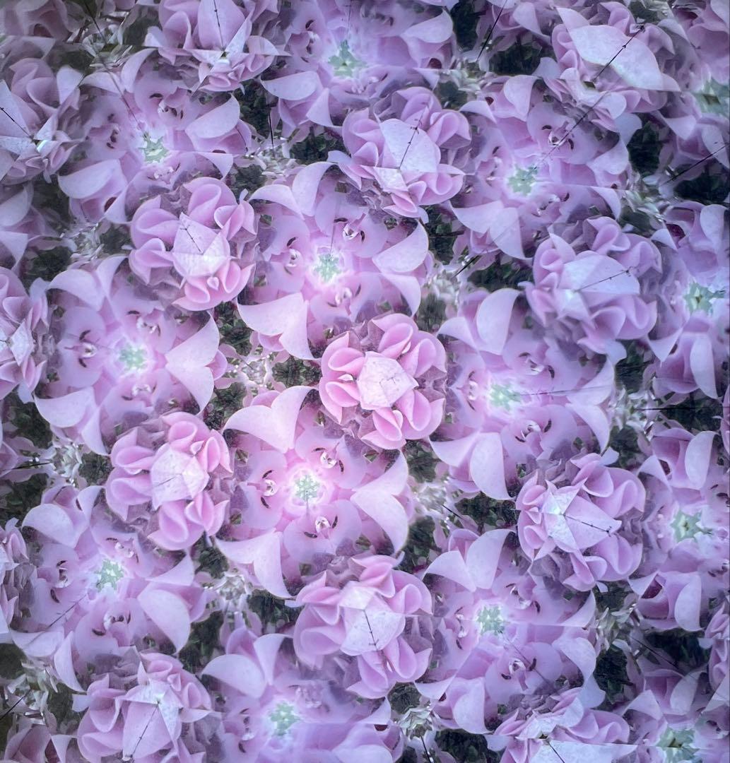 長いテレイドスコープ、24cm,ロイコヘンの作品