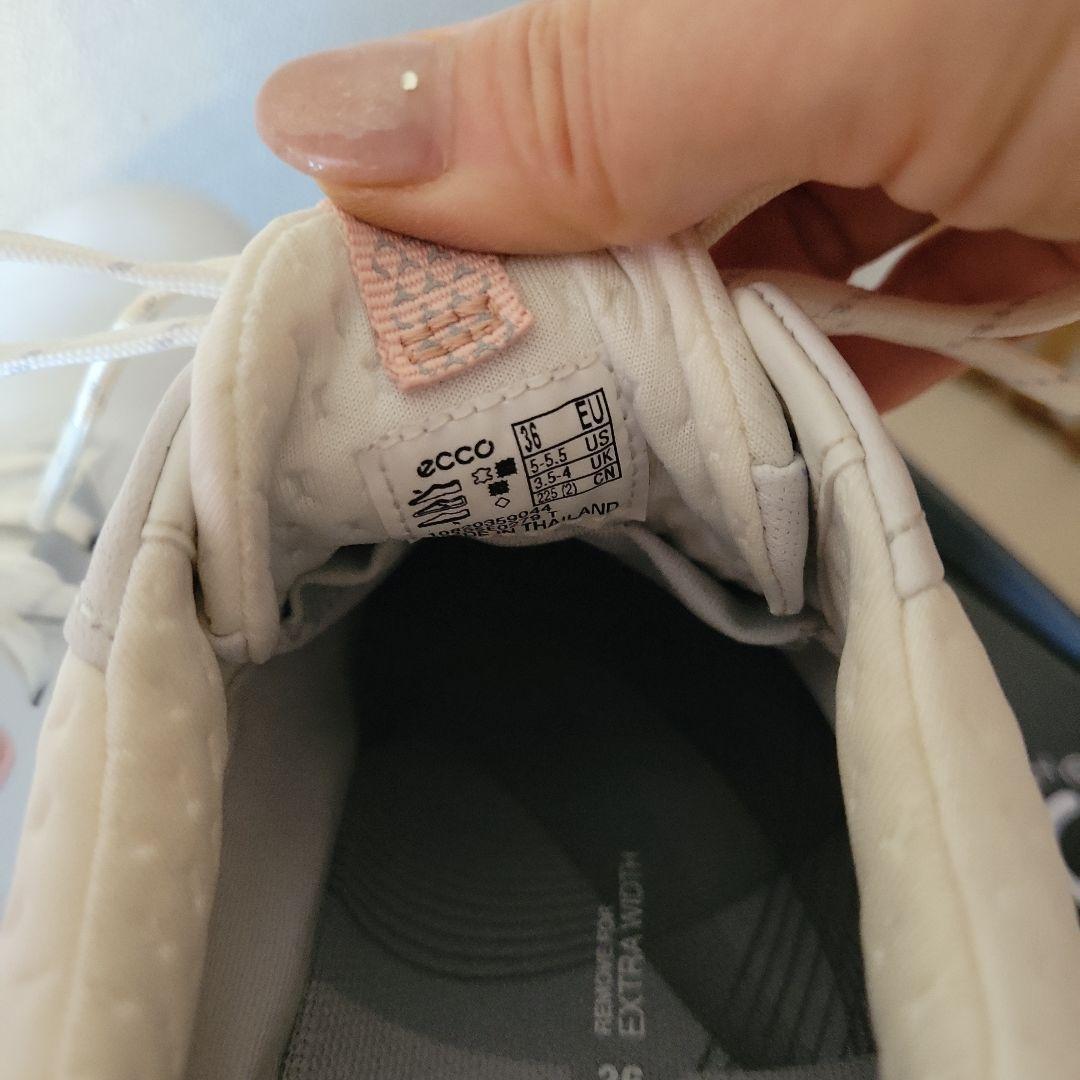 若杉聖子 コーヒーセット