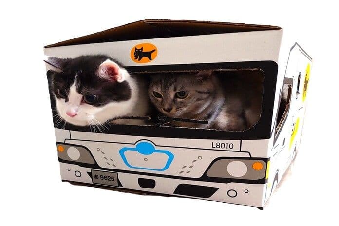 クロネコヤマト EVウォークスルーBOX ダンボール 段ボール - メルカリ