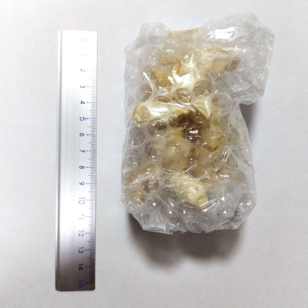 ダルジャン　死鬼隊　レイズナー　ガレージキット　フィギュア　海洋堂　山口勝久